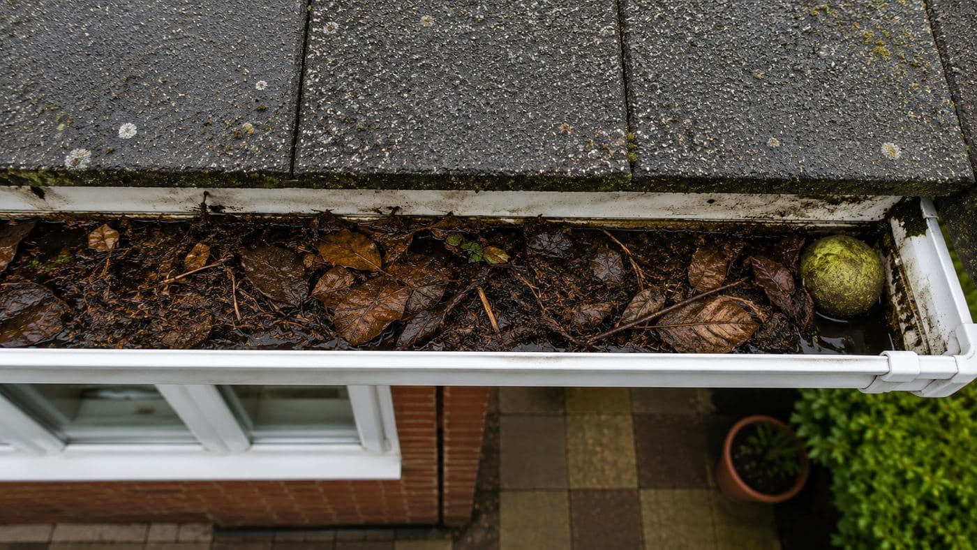 Gutter Cleaning job 2 - after